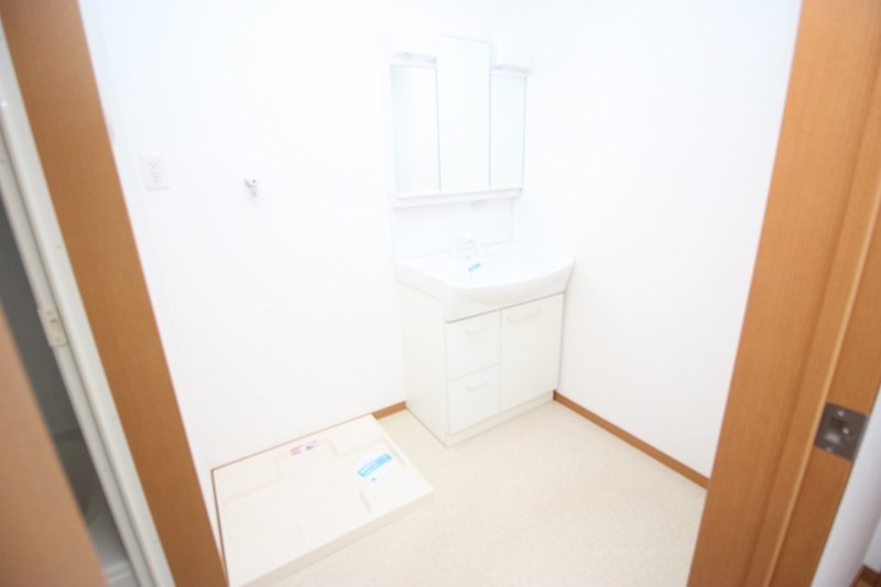 オリーブ その他1