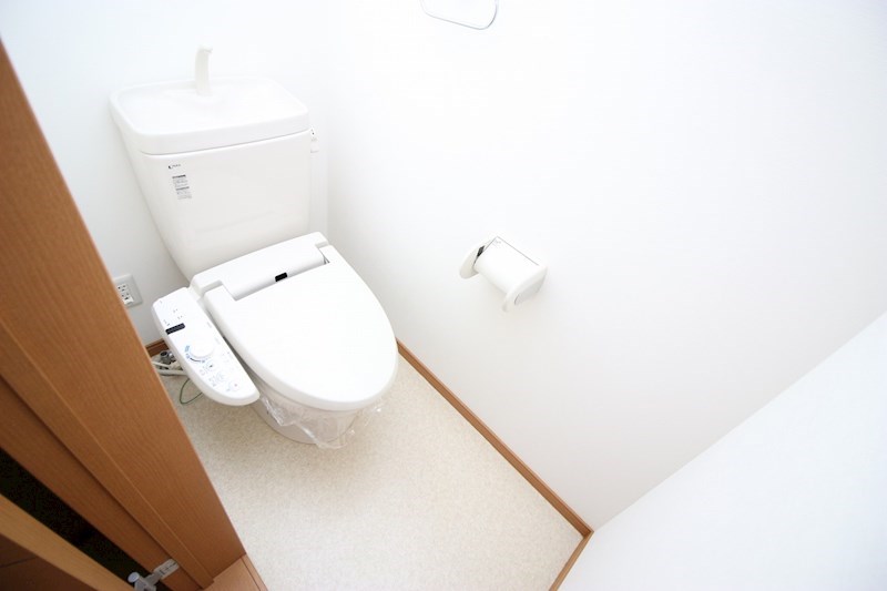 オリーブ その他2