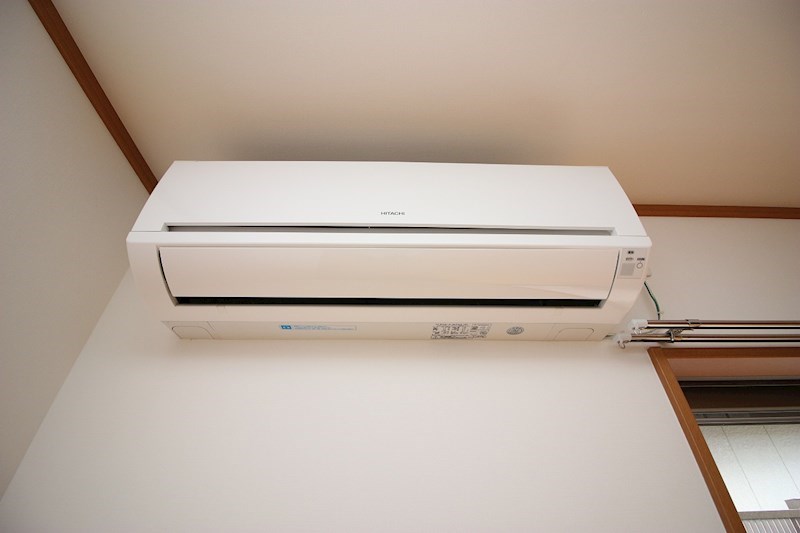 オリーブ その他5