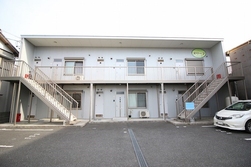 オリーブ その他6