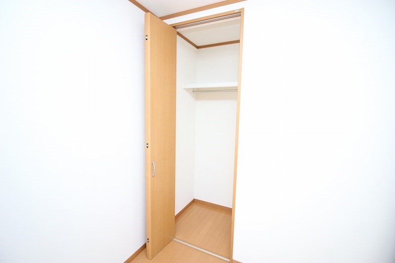 オリーブ その他12