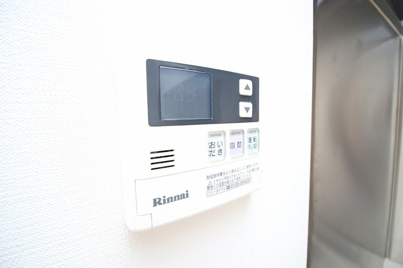 オリーブ その他13