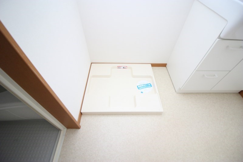 オリーブ その他15