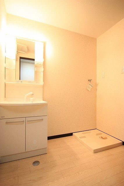 ル・リオン初生 その他1