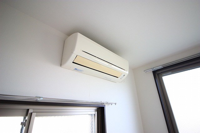 ル・リオン初生 その他6