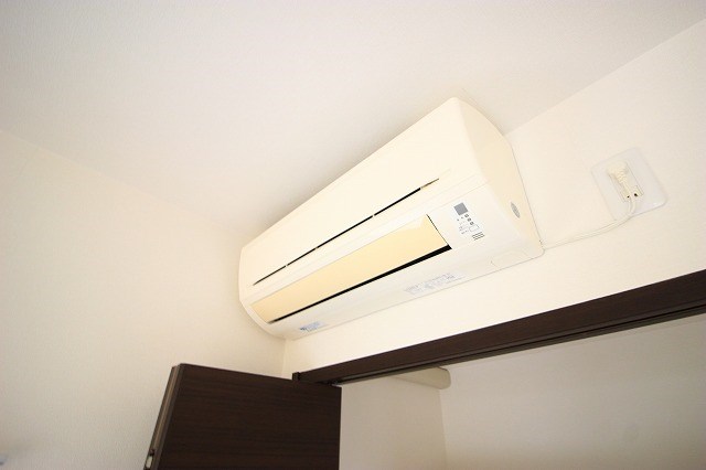 ル・リオン初生 その他18