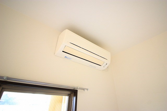 ル・リオン初生 その他21