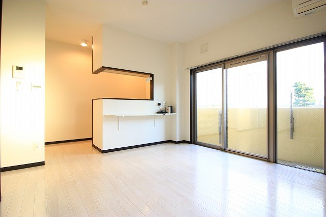 ル・リオン初生 その他22