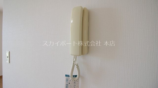 アビニヨン その他3