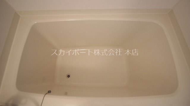 アビニヨン その他11