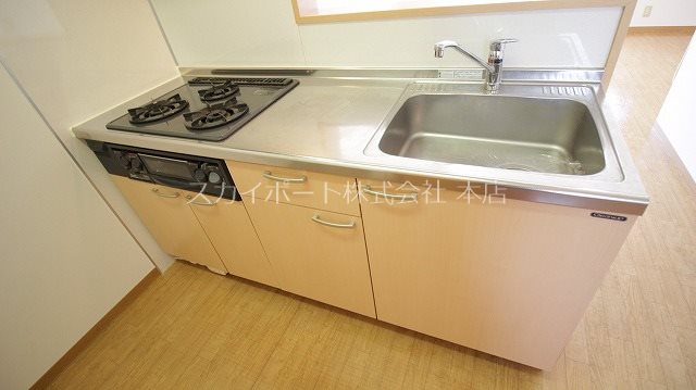 アビニヨン その他15