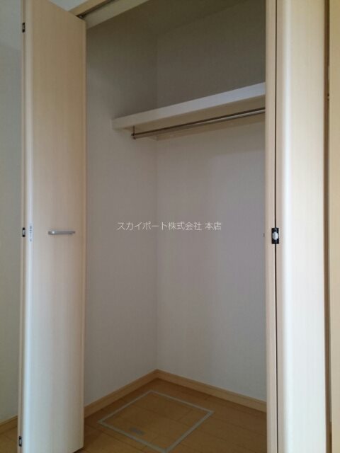 ハナミズキ その他3