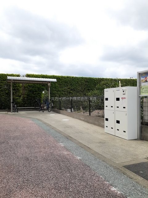 ハナミズキ その他4