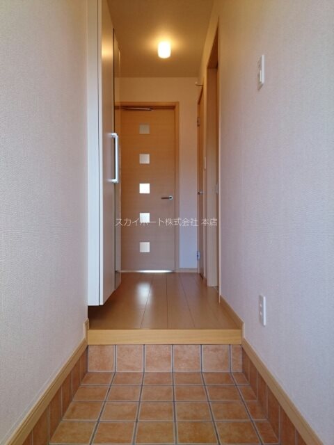 ハナミズキ 玄関