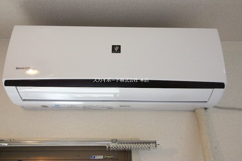 パディ その他8