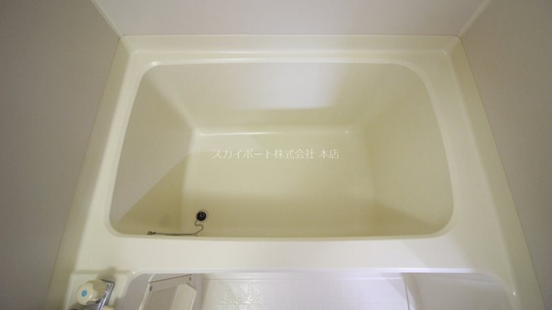 アゼリア その他12