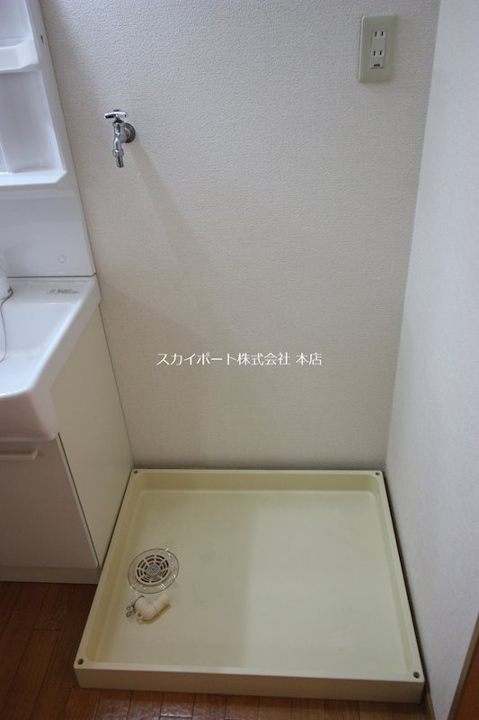 アバンダント初生 その他5