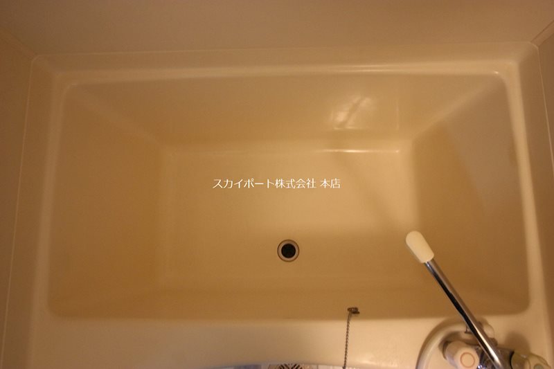 アバンダント初生 その他12