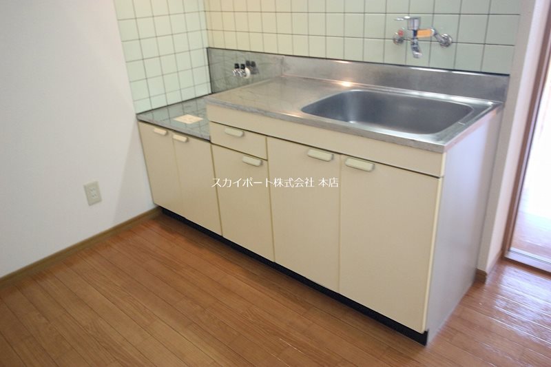 アバンダント初生 その他13