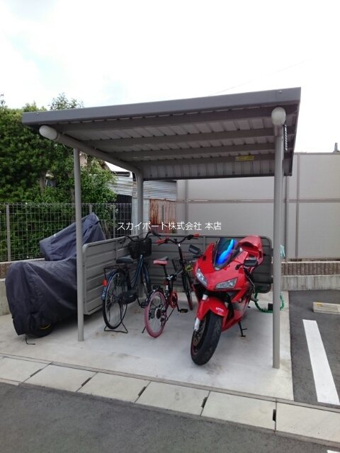 ヴィタ・ノーヴァ その他4