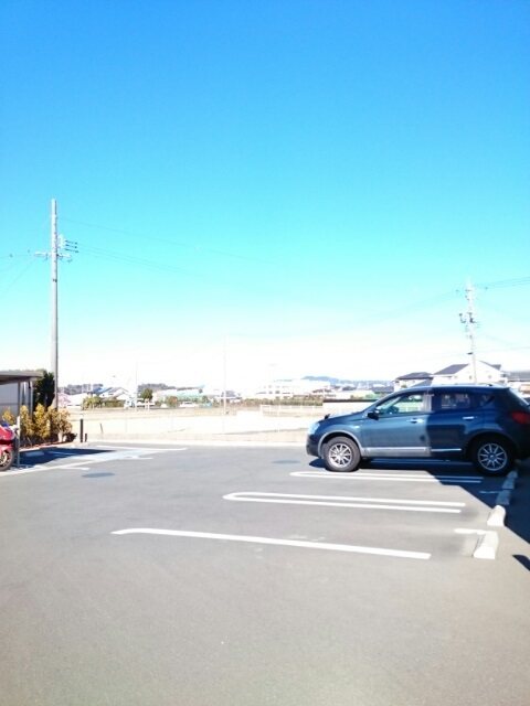 ヴィタ・ノーヴァ その他5