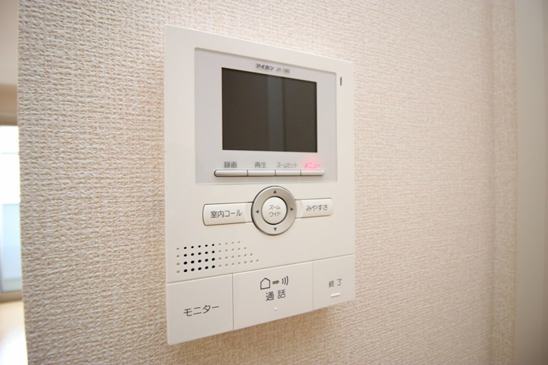 Leonids A その他4