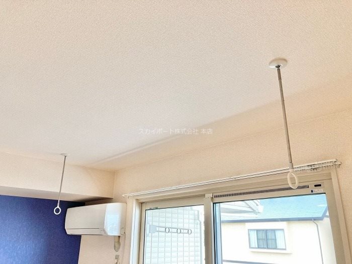 Leonids A その他12