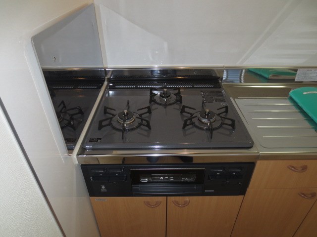 フェリオス その他15