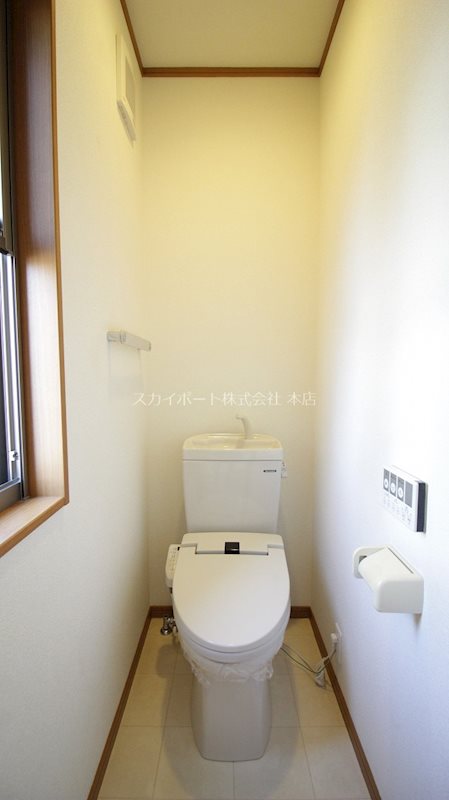 ブルーベリーⅢ その他2