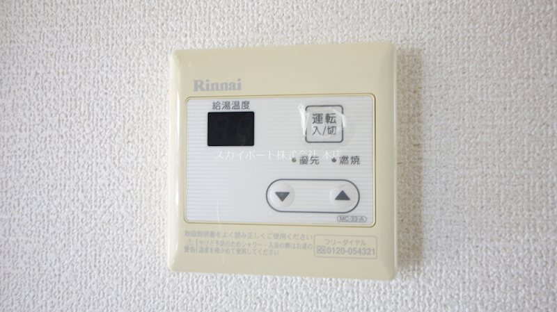 ブルーベリーⅢ その他4