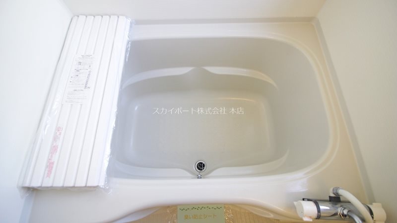 ブルーベリーⅢ その他12