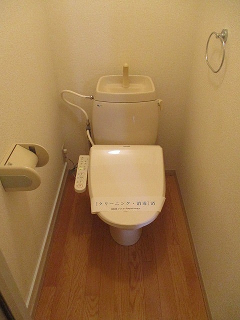 ヴェルドミールⅡ トイレ