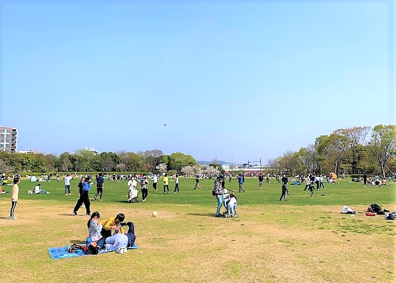 丸福ビル 公園