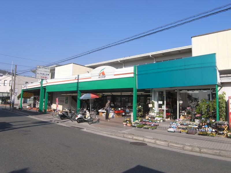 フラットウェルス スーパー