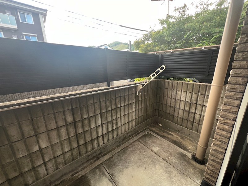 S-Glanz その他