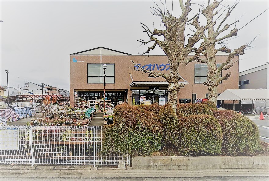 ゴールドクレスト ホームセンター