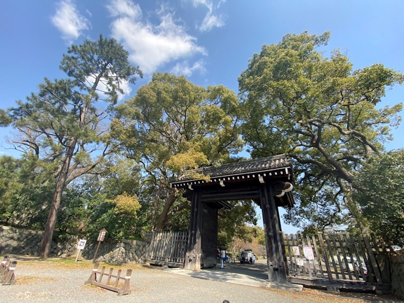 ジュネス寺島 その他