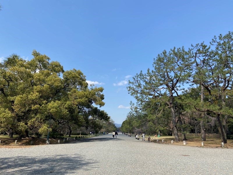 ジュネス寺島 その他