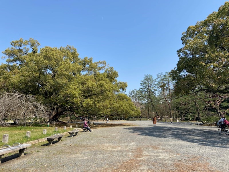 ジュネス寺島 その他