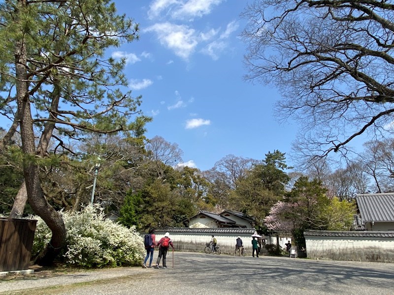 ジュネス寺島 その他