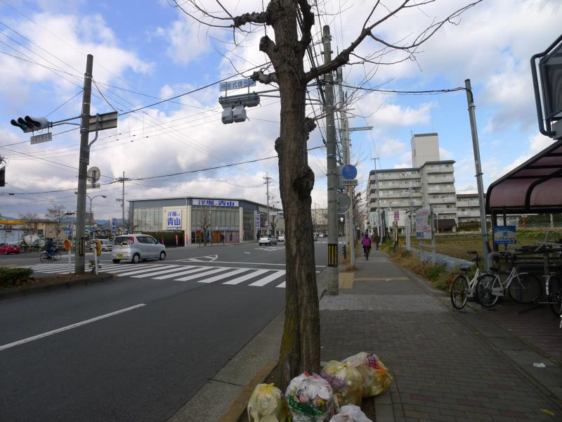 カサデソーラ白川 その他