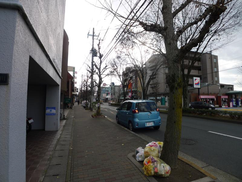 カサデソーラ白川 その他