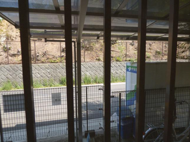 シェアフラット岩倉 眺望