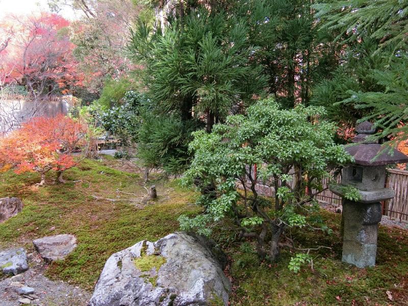 平野別邸 庭