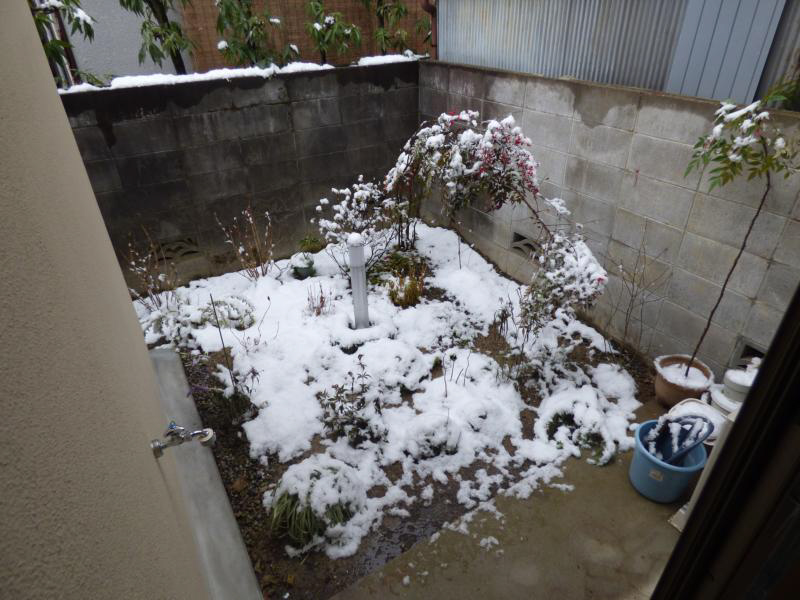 近藤様修学院高部町貸家 庭