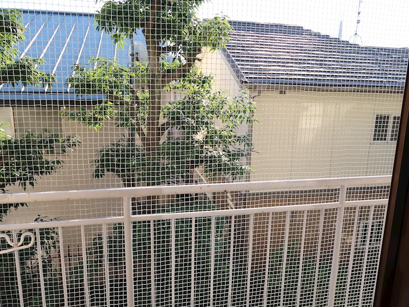 白水荘 その他