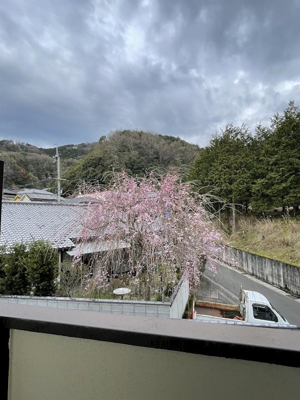 ハイツ庵野 その他