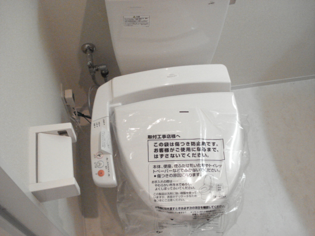 pieni pesa その他