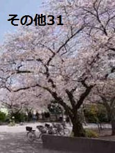 東京都中央区勝どき１丁目 その他