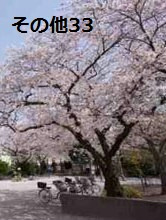 東京都中央区勝どき１丁目 その他